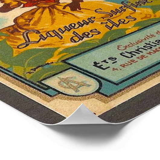 Martinique Travel Poster (Hoek)