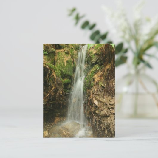 Martin's Brook Road Briefkaart (Staand voorkant)