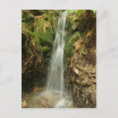 Martin's Brook Road Briefkaart (Voorkant)