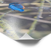 Martinus Foto Afdruk (Hoek)