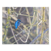 Martinus Foto Afdruk (Voorkant)