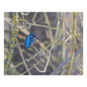 Martinus Perfect Poster (Voorkant)