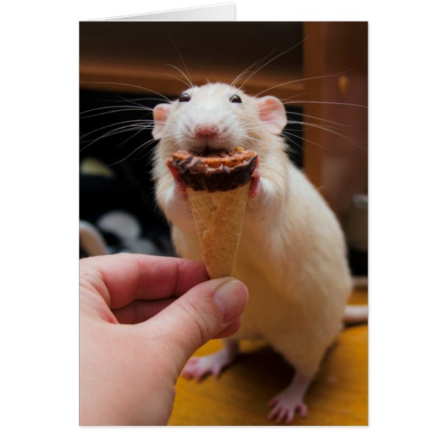 Marty Eating Ice Cream (Voorkant)