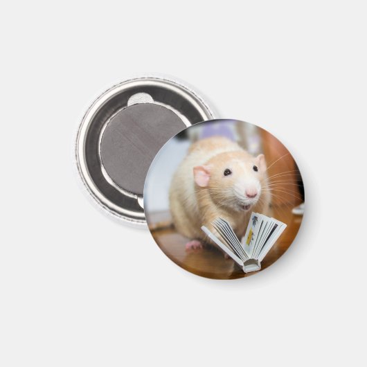 Marty Mouse houdt van lezen magneet (Voorkant / Achterkant)