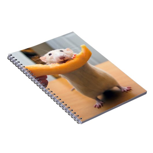 Marty Mouse Journal Notitieboek (Rechterzijde)