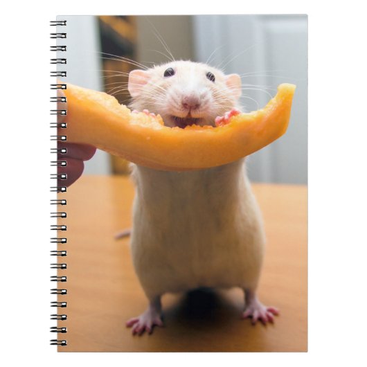 Marty Mouse Journal Notitieboek (Voorkant)