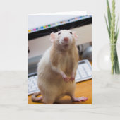 Marty Mouse Staande Wenskaart Kaart (Voorkant)