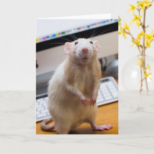 Marty Mouse Staande Wenskaart Kaart (Gele Bloem)