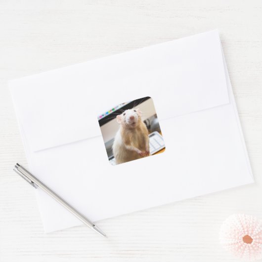 Marty Mouse Stickers - Standin' Tall (Envelop)