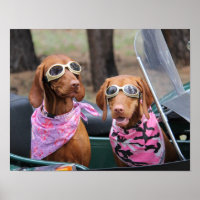 Marty & Zoe