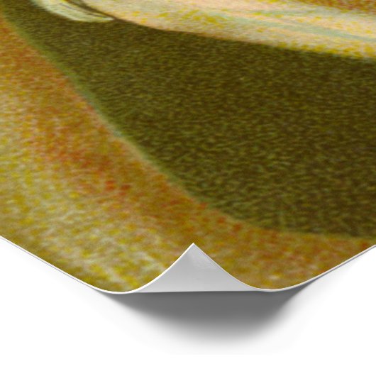 Martyrdom St. Agatha (M 003) Poster (Hoek)