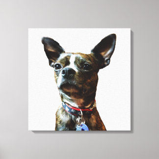 Marv-man Canvas Afdruk