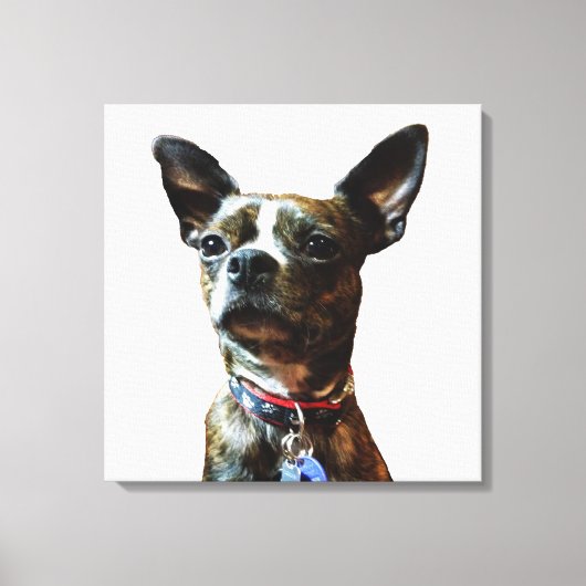 Marv-man Canvas Afdruk (Voorkant)