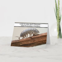 Marvel in Miniature - The Woodlouse Wonder