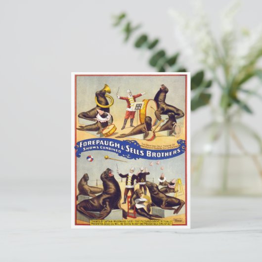 Marvelly Trained Circus Seals, 1899 Briefkaart (Staand voorkant)