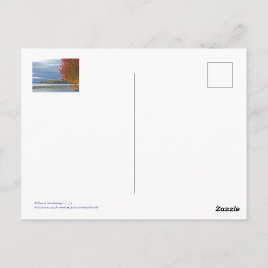 Marvelous Michigan/herfstkleur Briefkaart (Achterkant)