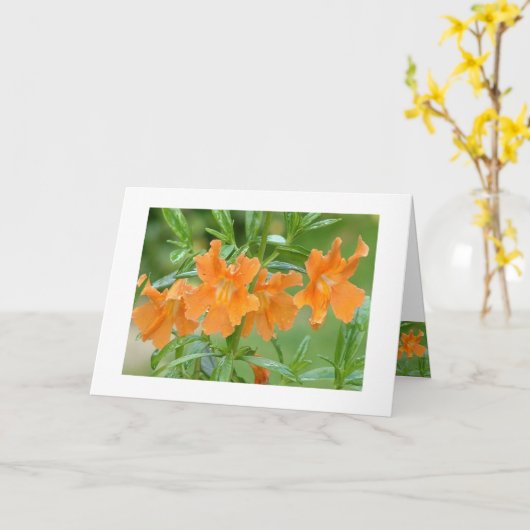 Marvelous Mimulus Notecard Kaart (Gele Bloem)