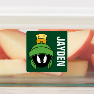 MARVIN DE MARTIAN™ MAD LABELS