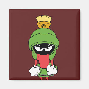 MARVIN THE MARTIAN™ Van streek Magneet