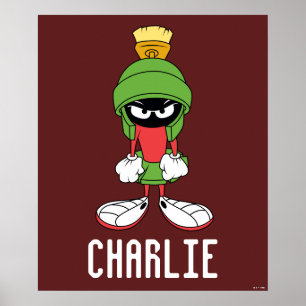 MARVIN THE MARTIAN™ Van streek Poster