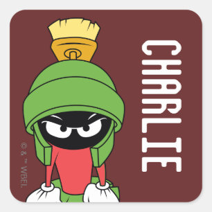 MARVIN THE MARTIAN™ Van streek Vierkante Sticker