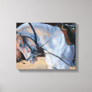 Marwari Horse Rajasthan 2010 Canvas Afdruk