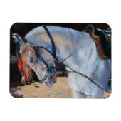 Marwari Horse Rajasthan 2010 Magneet (Horizontaal)