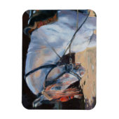 Marwari Horse Rajasthan 2010 Magneet (Verticaal)