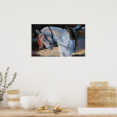 Marwari Horse Rajasthan 2010 Poster (Keuken)