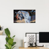 Marwari Horse Rajasthan 2010 Poster (Thuiskantoor)