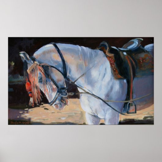 Marwari Horse Rajasthan 2010 Poster (Voorkant)