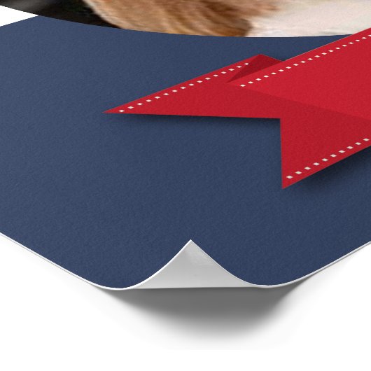 MARY BURKE CAMPAIGN POSTER (Hoek)