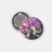 Mary Cassatt Lilacs Magnet (Voorkant / Achterkant)