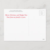 Mary, Christus, St. Anne en de Baby Stl John Feestdagenkaart (Achterkant)