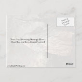 Mary Countess Howe by Thomas Gainsborough Briefkaart (Achterkant)