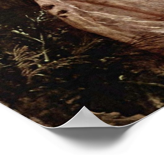 Mary Countess Howe van Thomas Gainsborough Poster (Hoek)