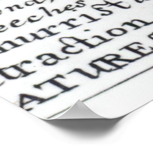 Mary Frith Poster (Hoek)