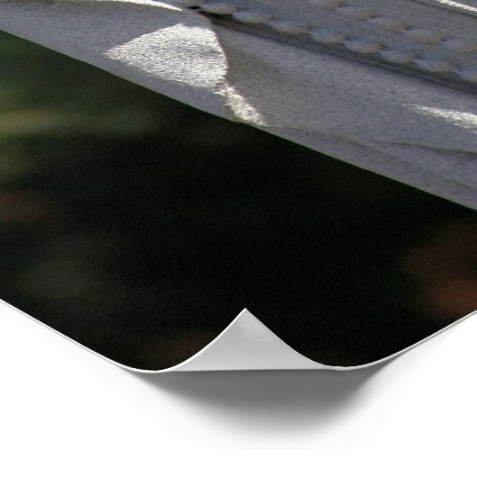 Mary in Prayer 16x20 Poster (Hoek)