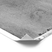 Mary, koningin der Schotten in witte rouw, 1560 Poster (Hoek)