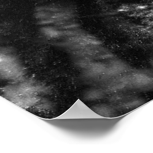 Mary Todd Lincoln Poster (Hoek)