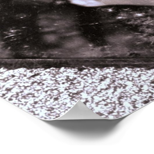 Mary Todd Lincoln Poster (Hoek)