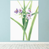 Mary Vaux Walcott kunst Canvas Afdruk (Insitu (Houten vloer))