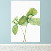 Mary Vaux Walcott kunst Canvas Afdruk (Insitu (Houten vloer))