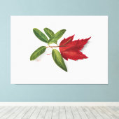 Mary Vaux Walcott painting Canvas Afdruk (Insitu (Houten vloer))