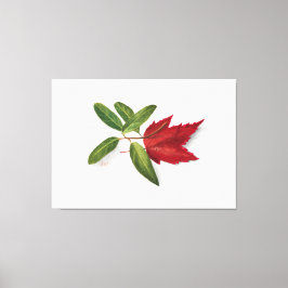 Mary Vaux Walcott painting Canvas Afdruk