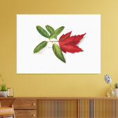Mary Vaux Walcott-schilderij Canvas Afdruk (Insitu (Woonkamer))