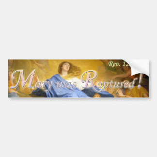 Mary werd verkracht Bumpersticker