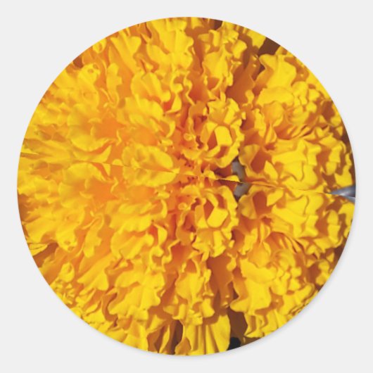 Marygold Ronde Sticker (Voorkant)