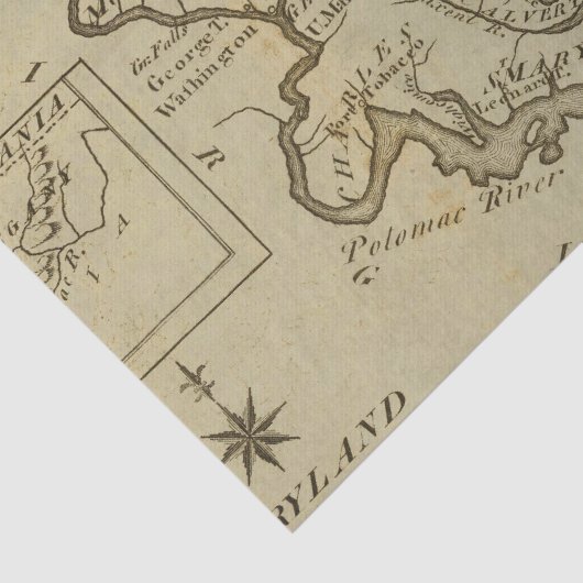 Maryland 5 tissuepapier (Detail)