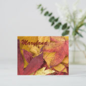 Maryland Autumn Leaves Briefkaart (Staand voorkant)